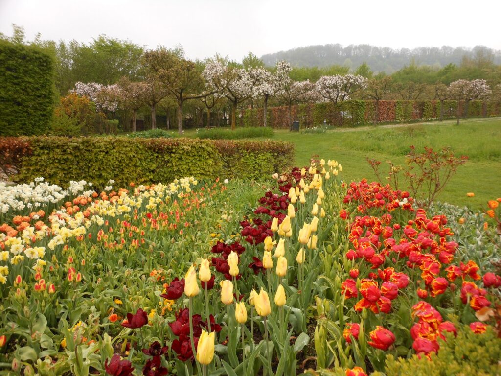 Day Trip from Paris: Monet's Gardens in Giverny, France | Adventures with Shelby