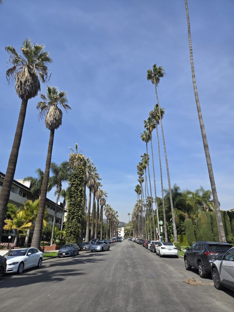 Three Days in Los Angeles, California: The Perfect SoCal Itinerary | Adventures with Shelby