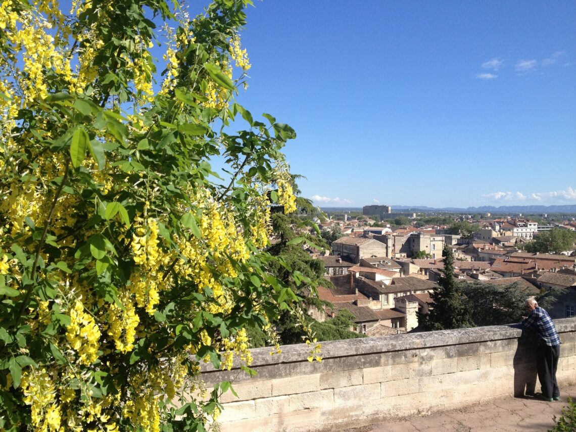Avignon, France | Adventures with Shelby