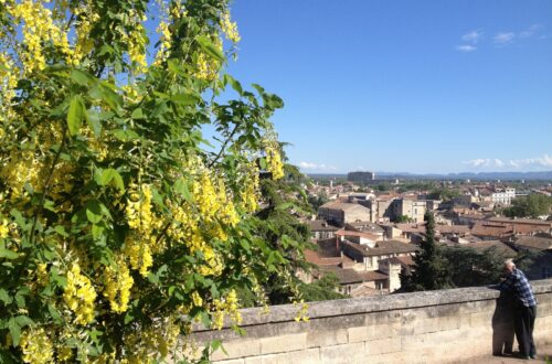 Avignon, France | Adventures with Shelby