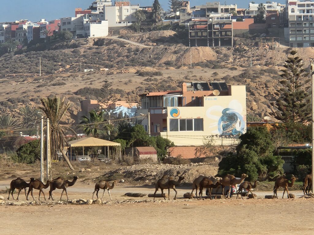 Agadir, Morocco | Adventures with Shelby
