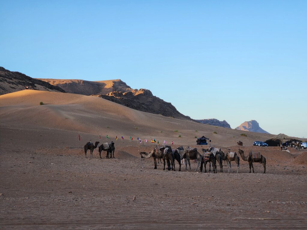 Zagora, Morocco | Adventures with Shelby
