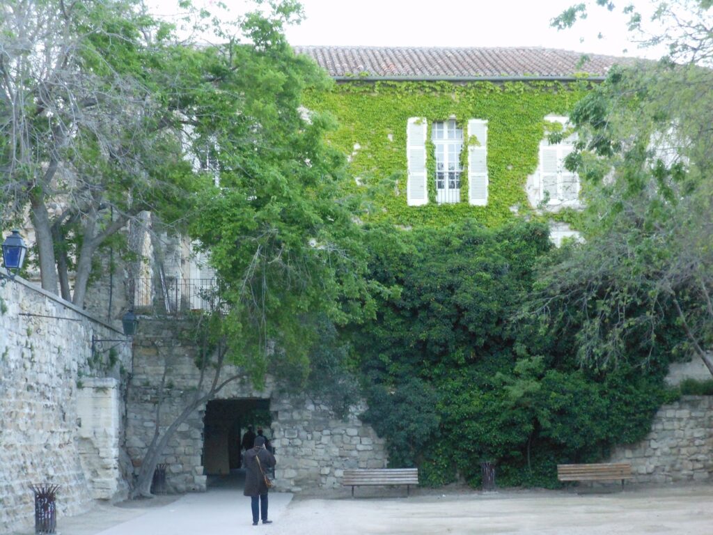Avignon, France | Adventures with Shelby