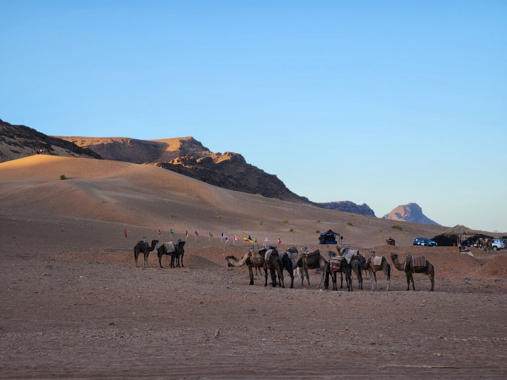 Glamping near Zagora, Morocco | Adventures with Shelby